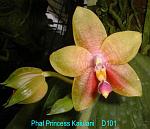 Princess Kaiulani  T15D101