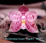 Germaine Vincent #1 T15P071